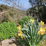Nel Parco Marciana (Isola d'Elba)