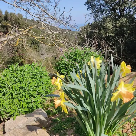 Nel Parco Marciana (Isola d'Elba)
