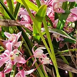 דירה Nel Parco מרצ'אנה