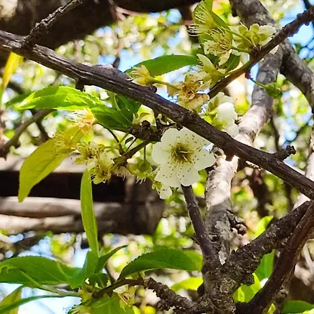 Appartamento Nel Parco