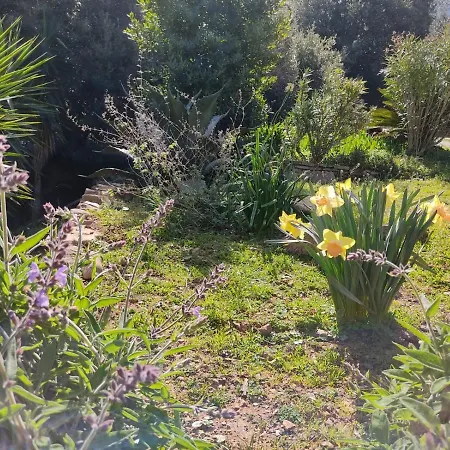 Appartamento Nel Parco Marciana (Isola d'Elba)