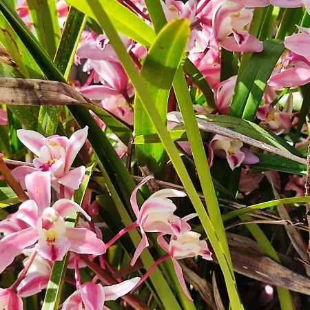 アパート Nel Parco マルチャーナ