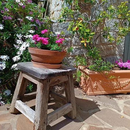 Nel Parco * マルチャーナ