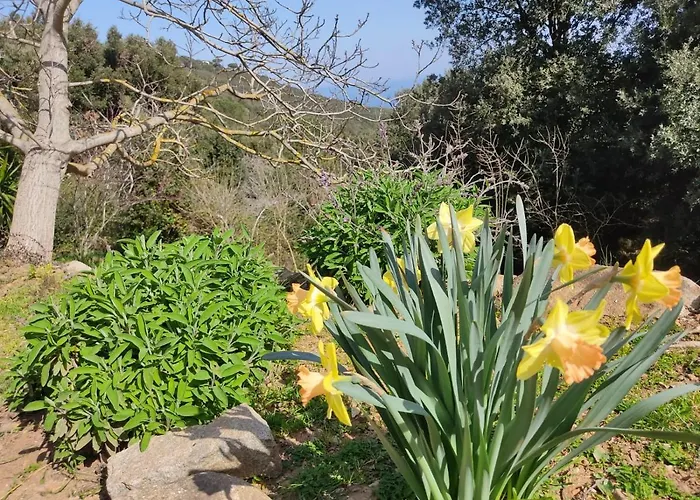 Nel Parco Marciana (Isola d'Elba)