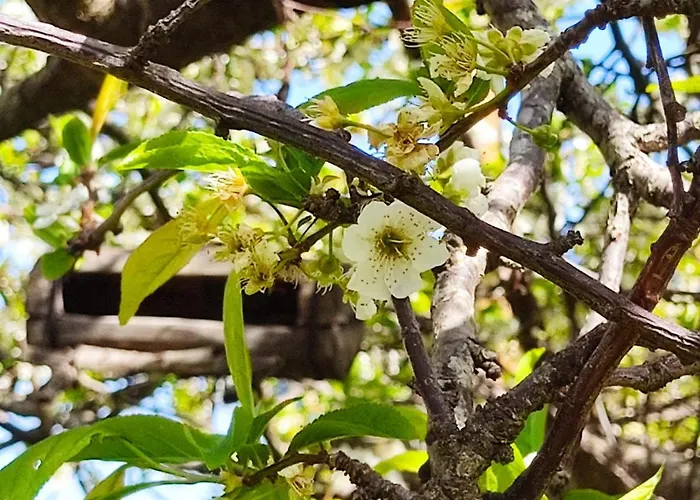 Appartamento Nel Parco