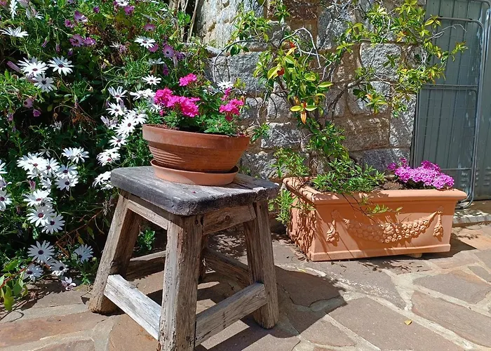 Nel Parco * Marciana (Isola d'Elba)